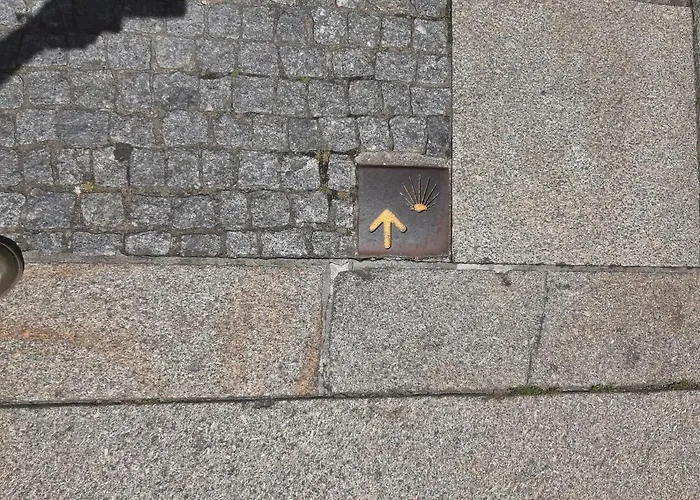 Casa Do Xico Апартаменты Понте-де-Лима